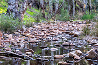 water in Mambray Creek