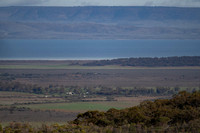 near the top of Spencer Gulf