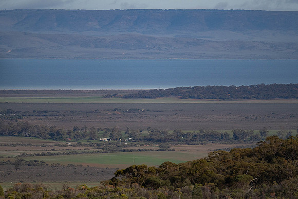 near the top of Spencer Gulf