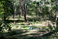 Photo point 1