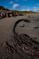 Beach at Couta Rocks