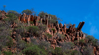 The Organ Pipes