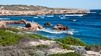 near Cactus Beach