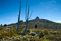 Mt Pelion East