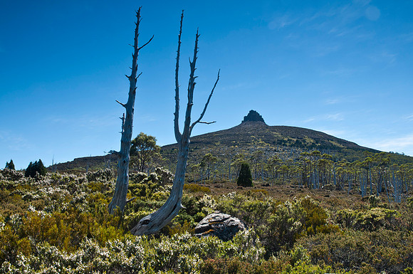Mt Pelion East