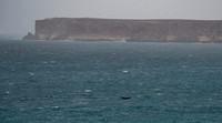 Bunda Cliffs, Head of the Bight (with whale tail)