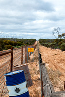 the dog fence