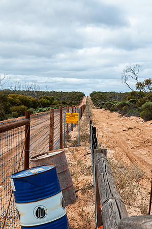 the dog fence