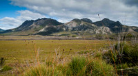 Sentinel Range