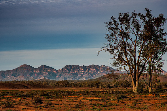 view south from Trezona campground