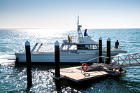 EP Cruises boat arriving for our whale watching tour