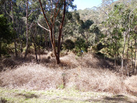 Photo point 1