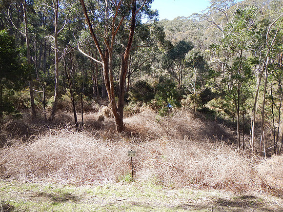Photo point 1