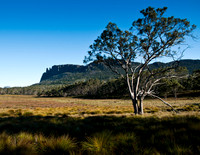 Mt Oakleigh
