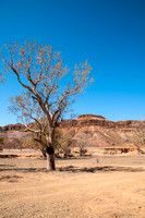 Mt Chambers