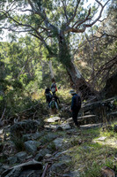 Finnis River Walk