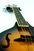 Mandolin detail