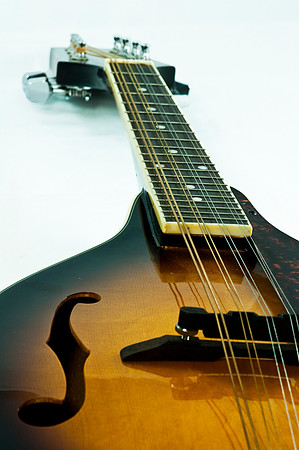 Mandolin detail
