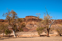 Mt Chambers