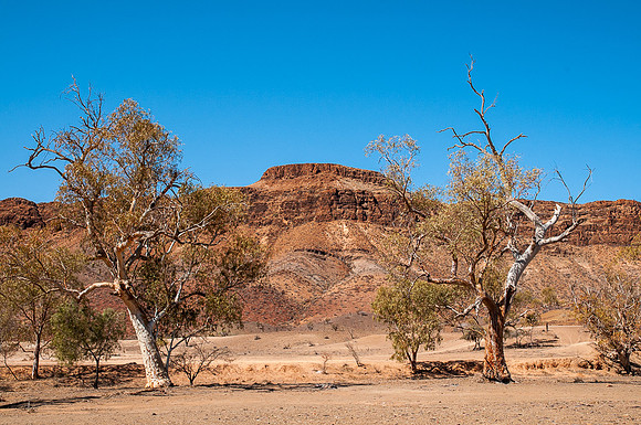 Mt Chambers