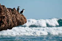 near Cactus Beach