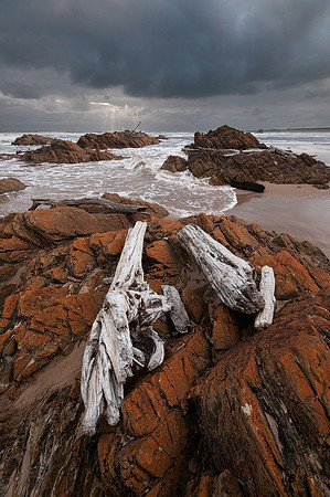 Coast at Arthur River