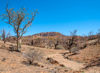 Mt McKinlay Bluff