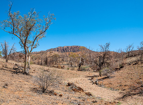 Mt McKinlay Bluff