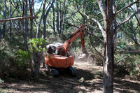 Mechanical grooming of gorse