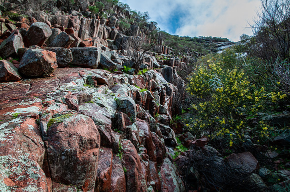 The Organ Pipes