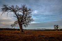 view south from Trezona campground