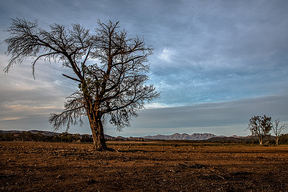 view south from Trezona campground
