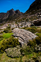 Mt Ossa from Mt Doris