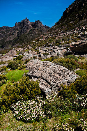 Mt Ossa from Mt Doris