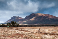 Flinders Ranges, near Wilpena