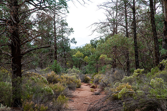 like walking through a garden along here !