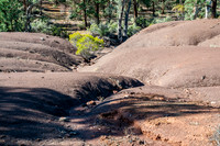 along the Heysen trail (next 10 pics)