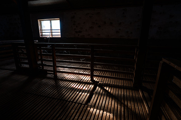 old shearing shed