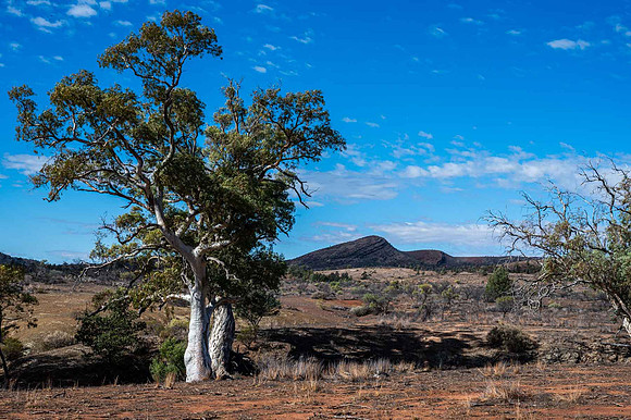 view from the Heysen Trail
