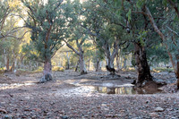 at Sliding Rock, Warraweena