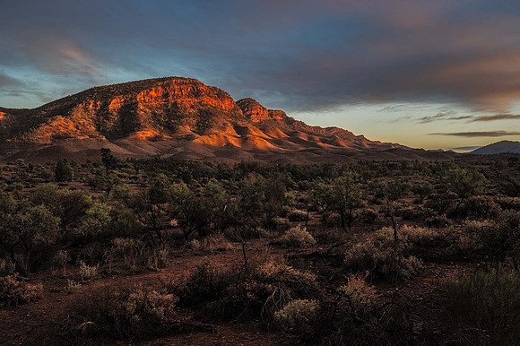 the Heysen Range, Flinders Ranges