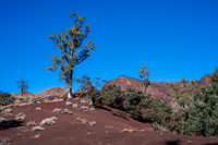 6 pics from the northern most section of the Heysen Trail, Parachilna Gorge.