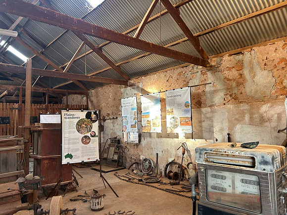 display room in old shearing shed, and next 27 pics all  at Boolcoomatta Nature Reserve