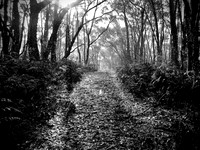 winter walk  14-08-22