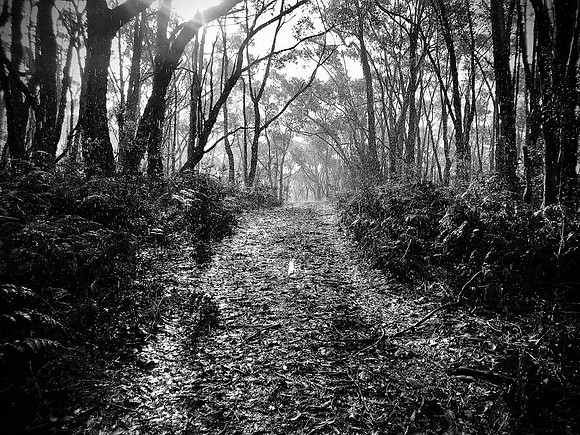 winter walk  14-08-22